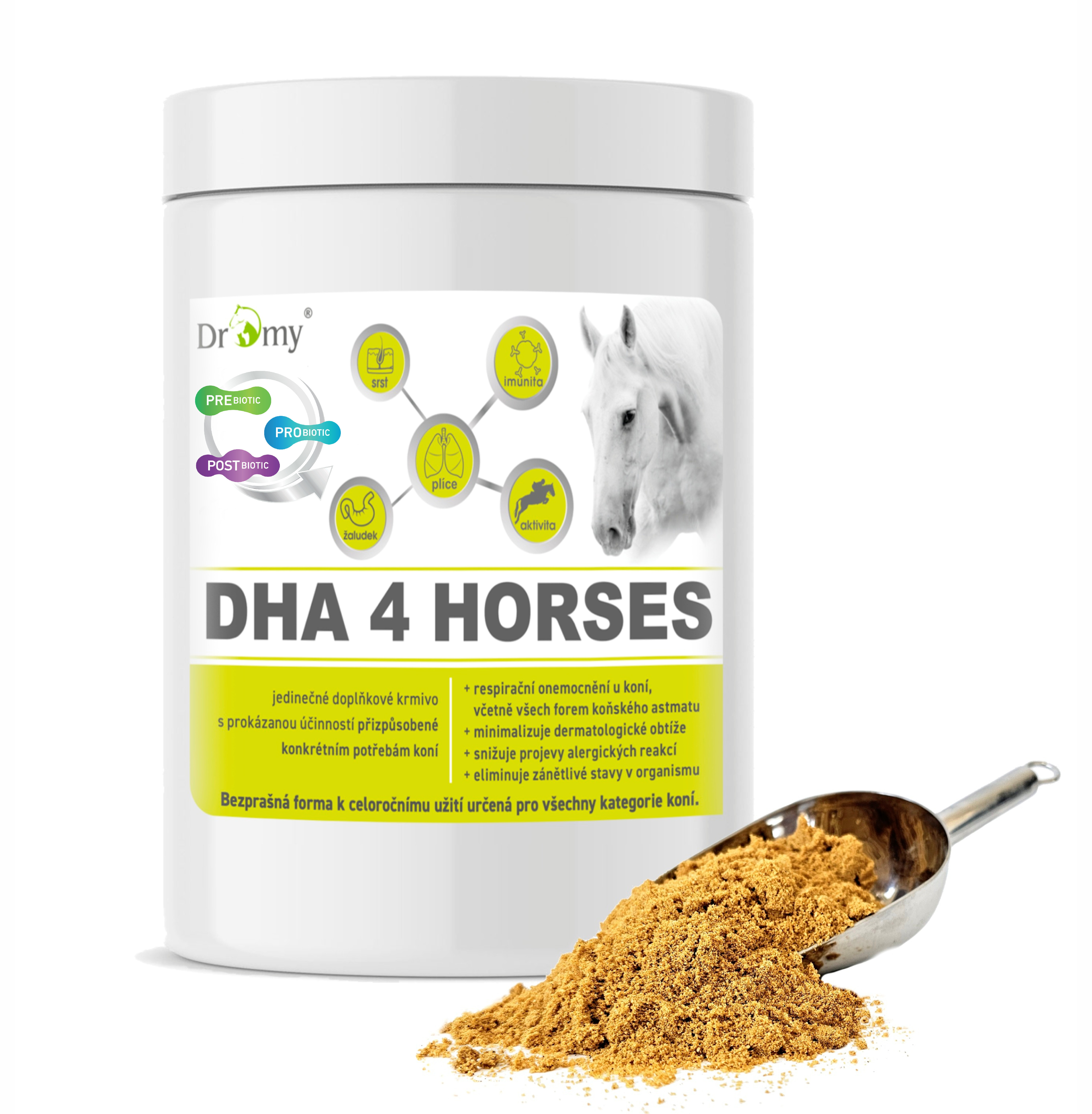 DHA 4 HORSES