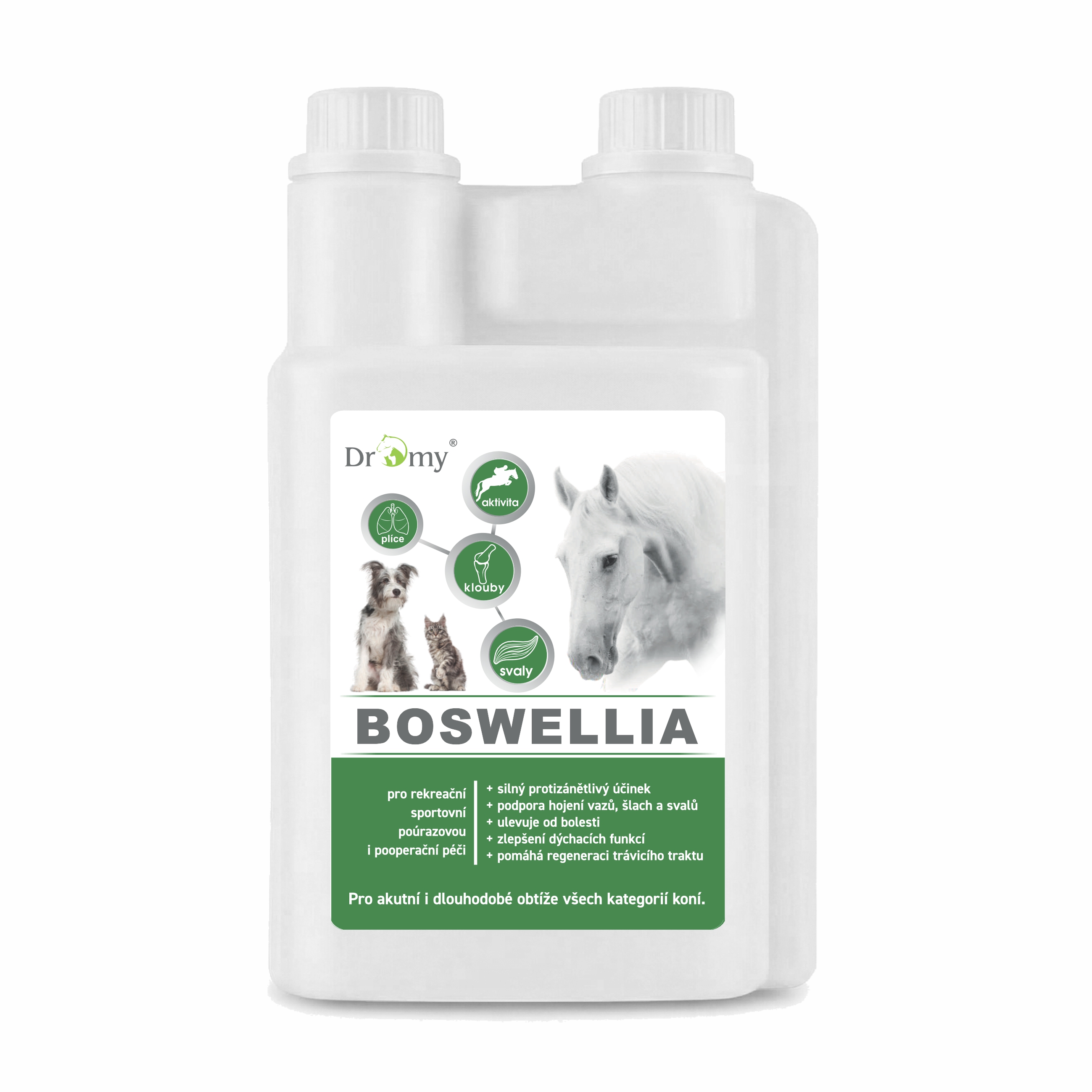 Dromy Boswellia Serrata liquid .: 1 l