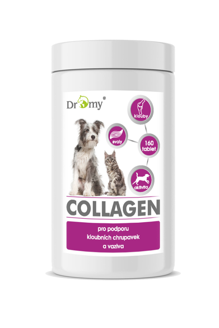 Dromy Collagen 160 tbl.
