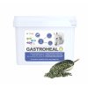 GASTROHEALSoK
