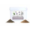 PSYLLIUM CHIA2