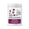 collagen