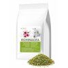 ECHINACEA