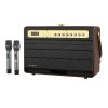 476981 bezdrotovy reproduktor w king k6l 120w 2 mikrofony hnedy