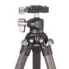 leofoto statyw ranger ls 225c lh 25