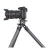 leofoto statyw ranger ls 284cex bv 10