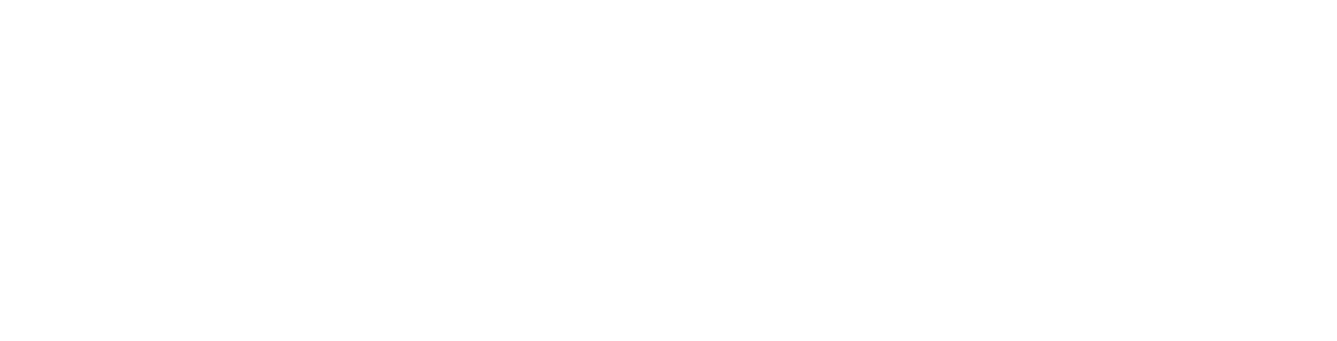 DJI Neo 2 logo