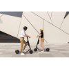Ninebot Kickscooter E45E by Segway