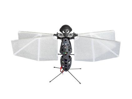 Flapper Nimble+ Starter Kit – robot s mávajúcimi krídlami, 49 cm