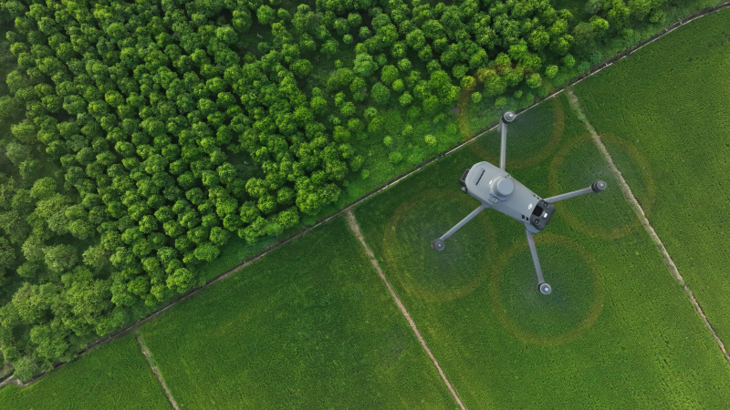DJI_0226