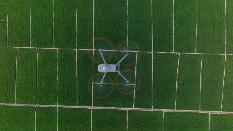 DJI_0391