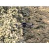 Dron DJI Mavic 3T Worry-Free Basic Combo