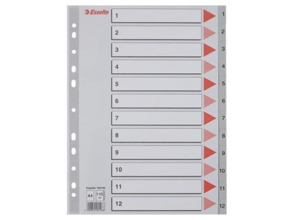 Rejstříky, šedá, A4, plast, 1-12, ESSELTE