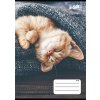 Sešit "Cats" 27-32, mix motivů, A5, čtverečkovaný, 32 listů, COOL BY VICTORIA