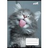 Sešit "Cats" 27-32, mix motivů, A5, čtverečkovaný, 32 listů, COOL BY VICTORIA