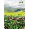 Sešit "Landscape", mix motivů, A4, linkovaný, 80 listů, COOL BY VICTORIA