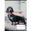 Sešit "Hounds", 27-32, mix motivů, A5, čtverečkovaný, 32 listů, COOL BY VICTORIA