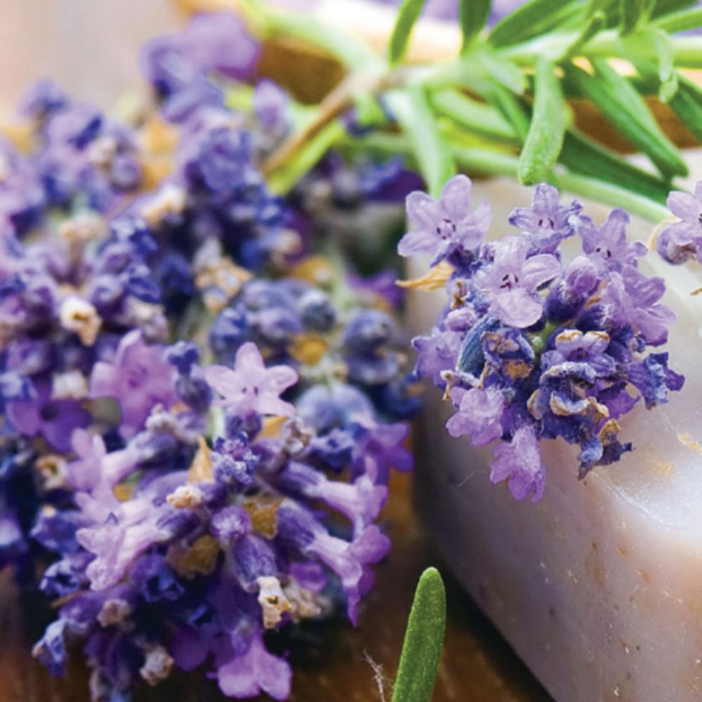 Lavender Organic Oil Hloubkově čistící mýdlo s organickým levandulovým olejem Lavender 100g Obrázek