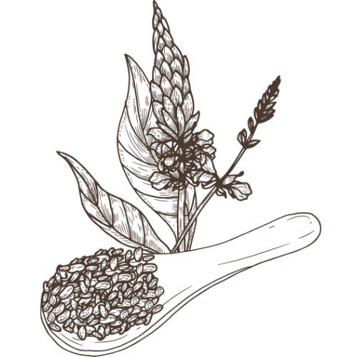 Olej z chia semínek 100% Alteya Organics 50 ml Obrázek