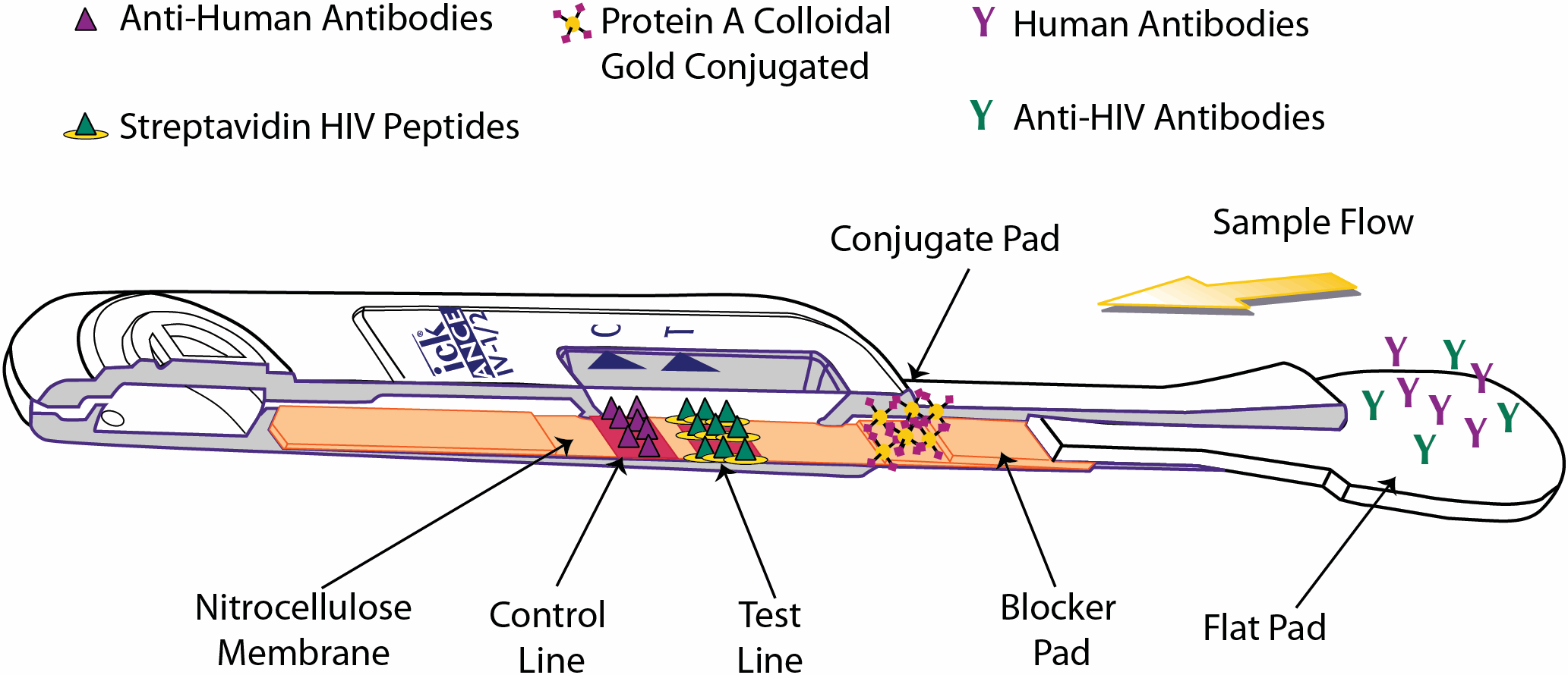 fig-3-full 1