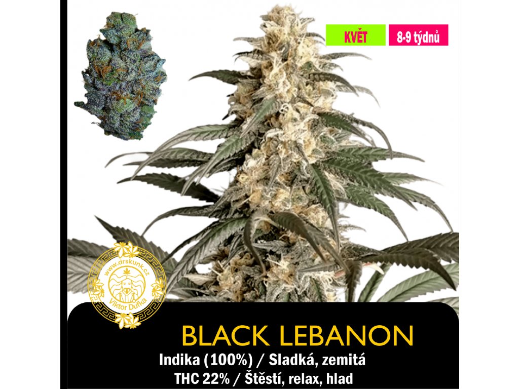 Black Lebanon