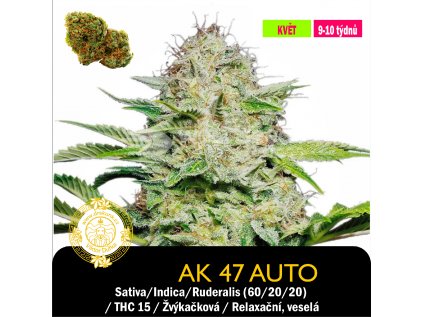 Ak47 auto