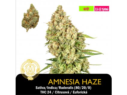 Amnesia Haze