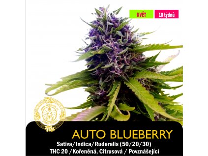 Auto blueberry