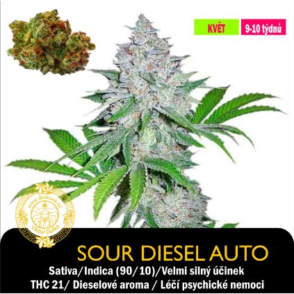 Sour Diesel Auto 2