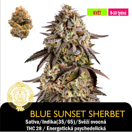 BLUE SUNSET SHERBET