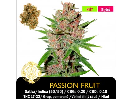 Passion Fruit / Feminizováno- 1 semínko - Dutch Passion