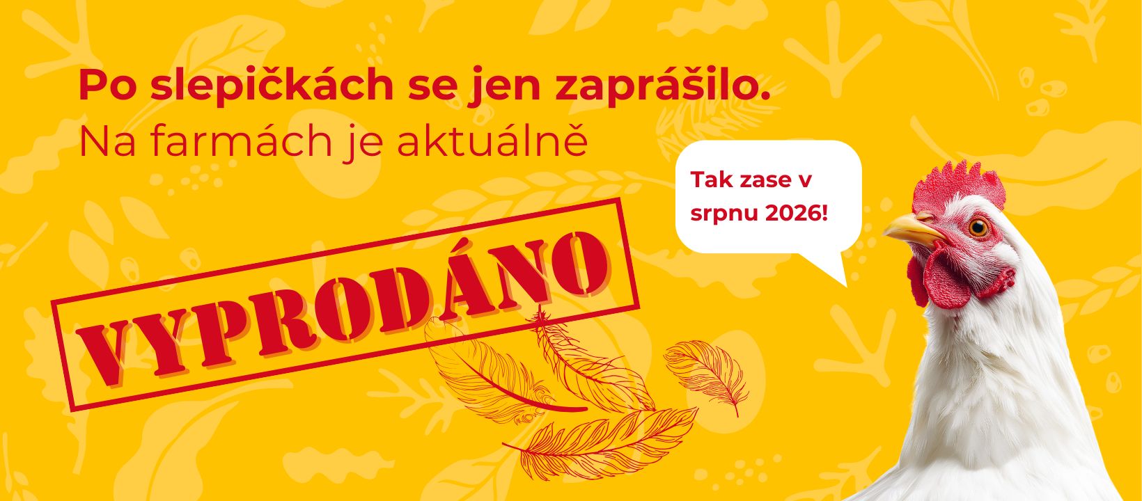 Prodej kuřic