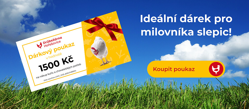 Dárkový poukaz na nákup slepic