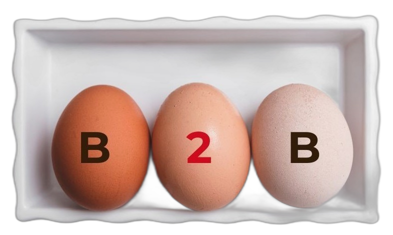 Velkoodběr kuřic na snášku – B2B spolupráce