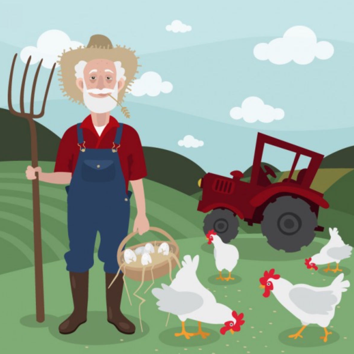 Videa z naší farmy