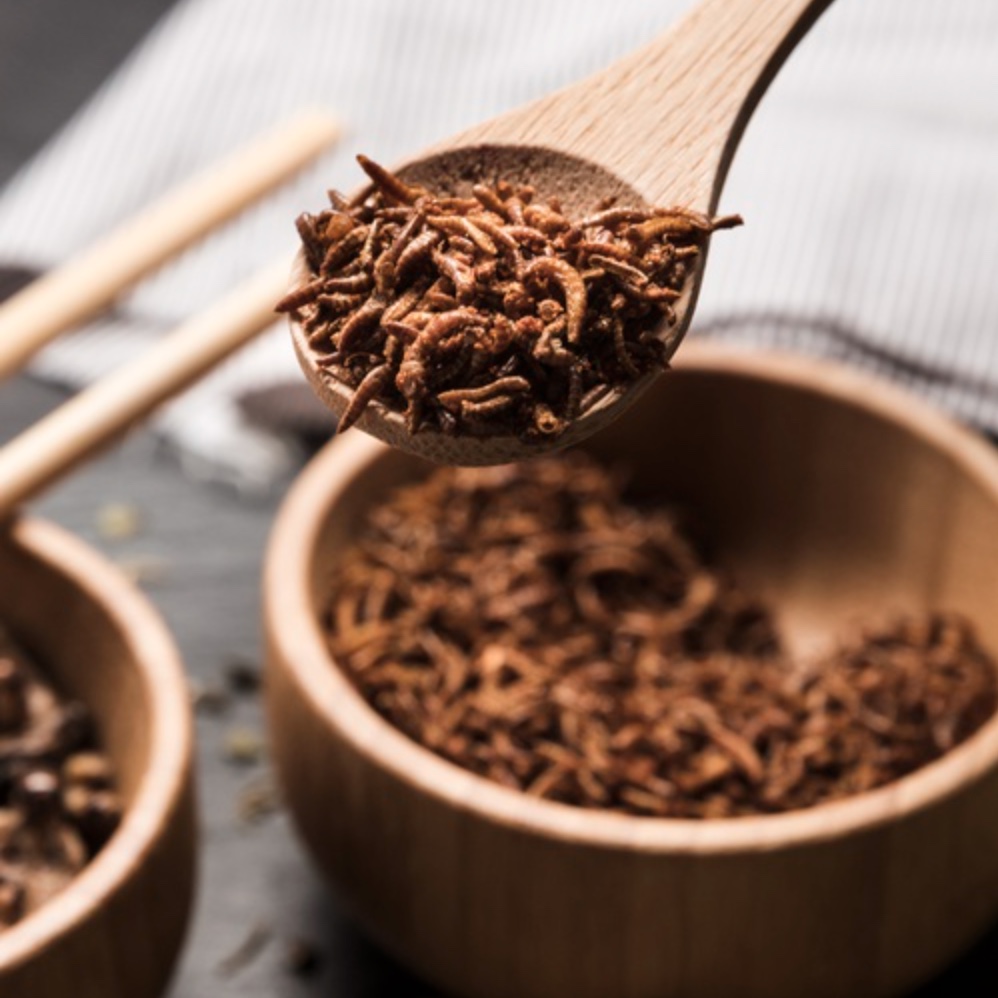 Slepičí mls – podívejte se, jak slepičkám chutná naše novinka.