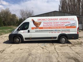                                     Drůbež Červený Hrádek
                            