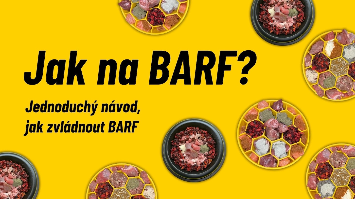 Každodenní BARFování: Everyday balancer
