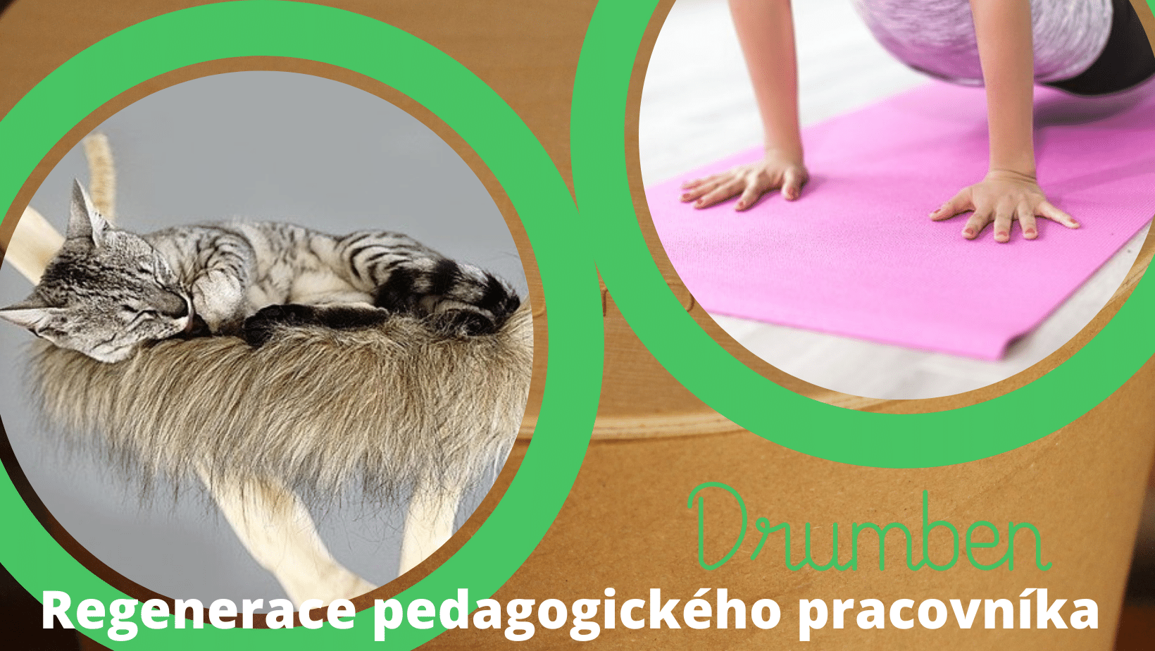 Regenerace pedagogického pracovníka