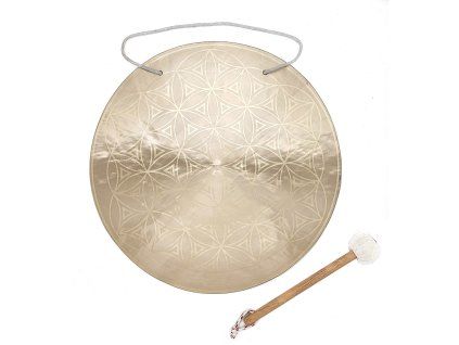 synergy gong 03