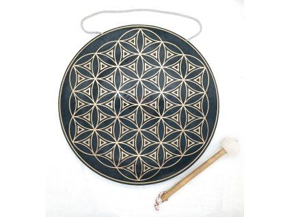 synergy gong 01