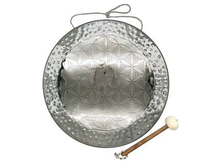 synergy gong 02