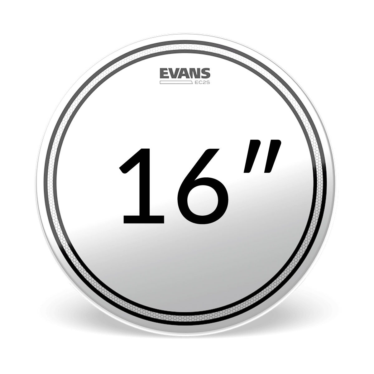 Evans EC2S Frosted Tom Priemer blany: 15"