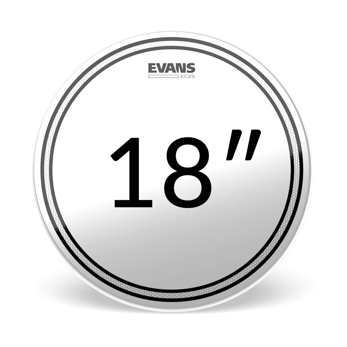 Evans EC2S Frosted Tom Priemer blany: 18"