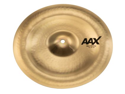 12 AAX Mini Chinese B 2