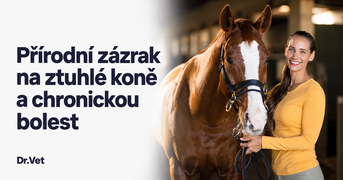 Přírodní zázrak na ztuhlé koně a chronickou bolest