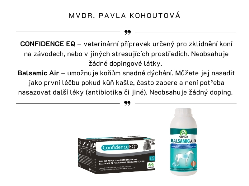 MVDR. PAVLA KOHOUTOVÁ