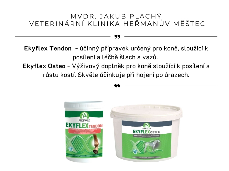 MVDR. JAKUB PLACHÝ  VETERINÁRNÍ KLINIKA HEŘMANŮV MĚSTEC