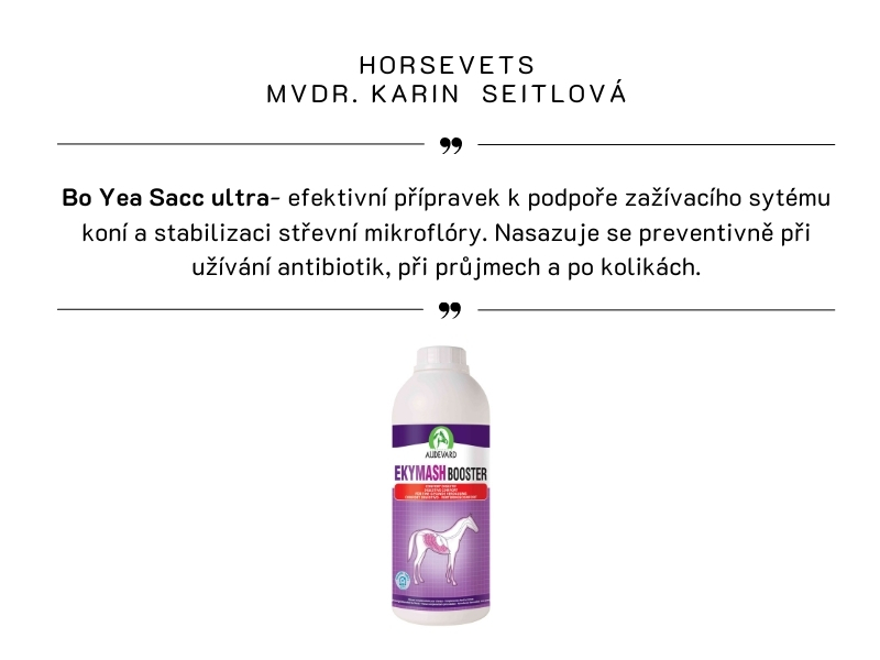 HorseVets MVDR. Karin  Seitlová