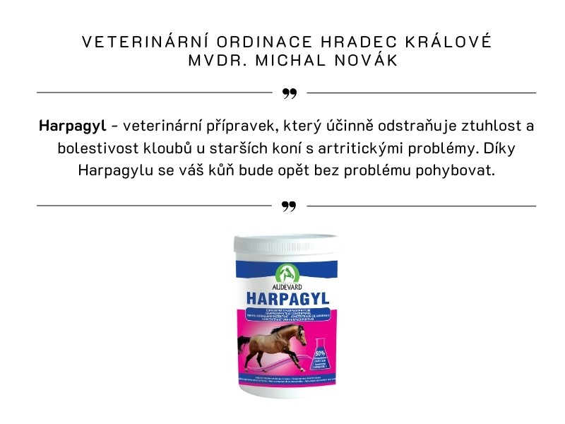 VETERINÁRNÍ ORDINACE HRADEC KRÁLOVÉ,  MVDR. MICHAL NOVÁK